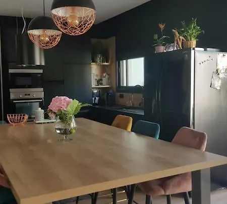 Villa Maison Sud Des Landes Proche Seignosse/ Capbreton / Soustons