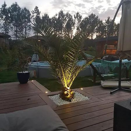 Maison Sud Des Landes Proche Seignosse/ Capbreton / Soustons * Tosse