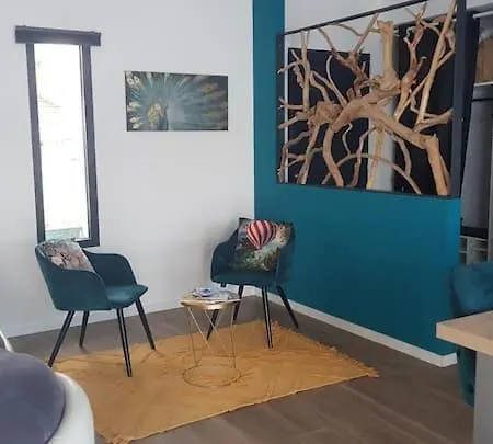 Villa Maison Sud Des Landes Proche Seignosse/ Capbreton / Soustons