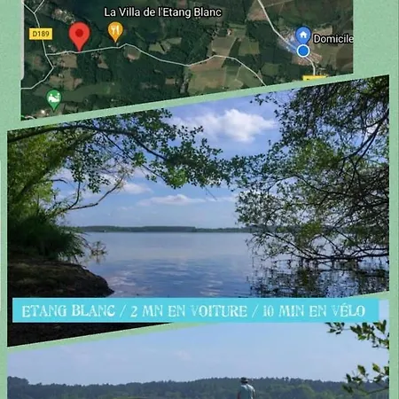 Villa Maison Sud Des Landes Proche Seignosse/ Capbreton / Soustons *