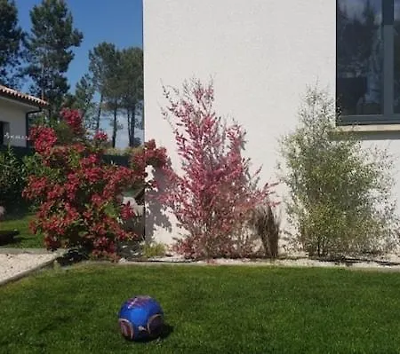 Maison Sud Des Landes Proche Seignosse/ Capbreton / Soustons Villa *